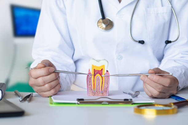 Best Emergency Root Canal Treatment in Riverside, NY